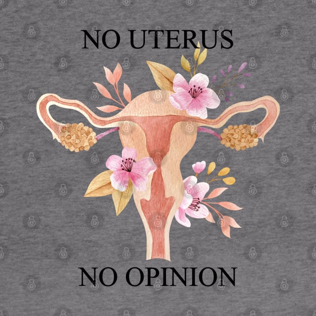 no uterus no opinion, roe v wade, reproductive rights by misoukill